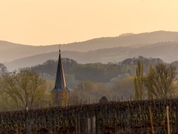 KF_20190417_5190-HDR