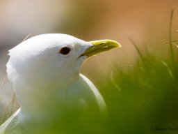 KF_20230530_4227