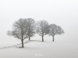 20210117-_K2A0473