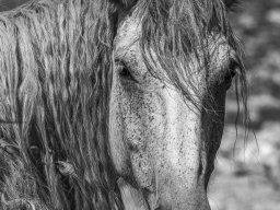 20240607-_K2A5975-Bearbeitet-2